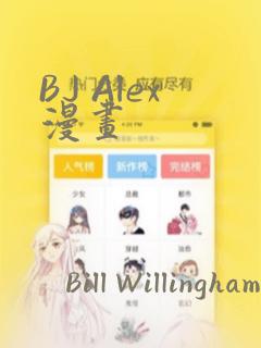 BJ Alex漫画：结局+番外