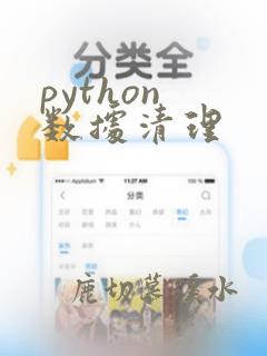python 数据清理