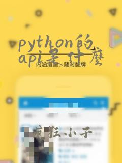 python的api是什么