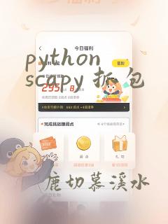 python scapy 抓包