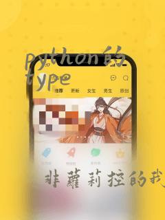 python的type