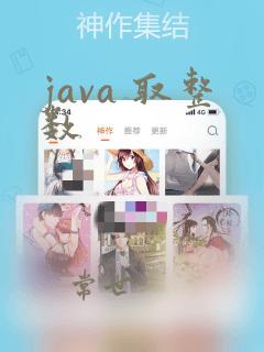 java 取整数