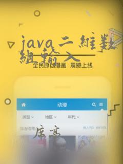 java二维数组输入