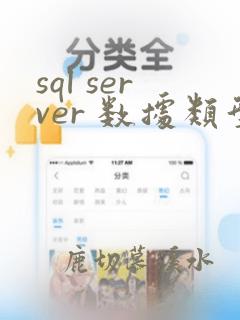 sql server 数据类型