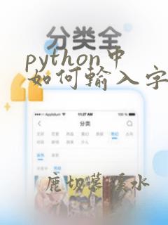 python中如何输入字符串