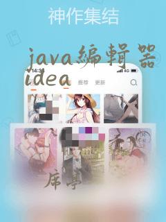 java编辑器idea