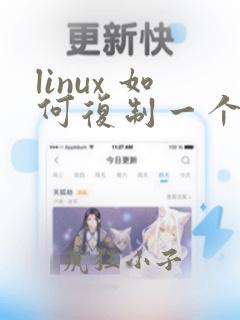 linux 如何复制一个文件的内容到另一文件