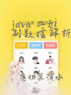 java 二进制数据解析