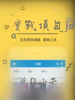实战项目java