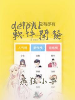 delphi 软件开发