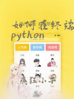 如何在终端打开python