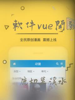 软件vue开发
