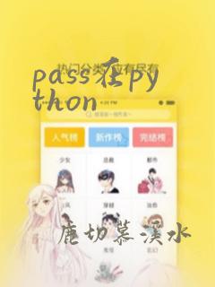 pass在python