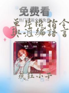 单片机指令系统与汇编语言程序设计