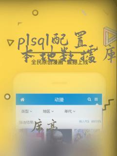 plsql配置本地数据库连接