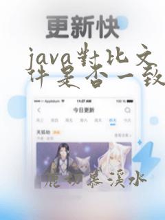 java对比文件是否一致