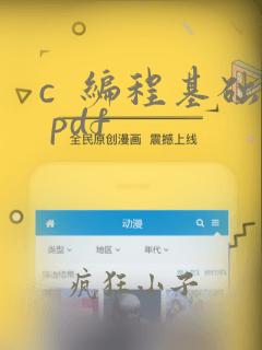 c 编程基础 pdf