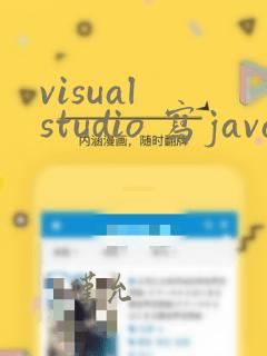 visual studio 写java