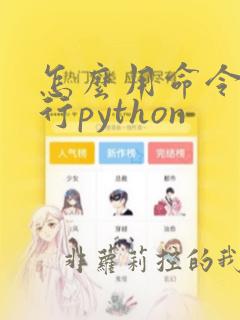 怎么用命令行运行python