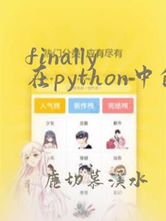 finally在python中的含义