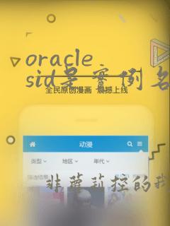 oracle sid是实例名还是数据库名