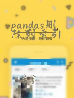 pandas删除列索引