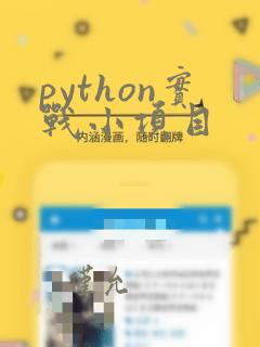 python实战小项目