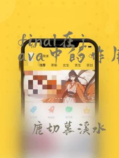 final在java中的作用