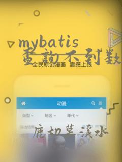 mybatis查询不到数据返回什么