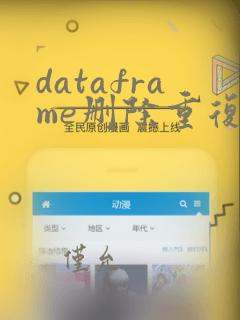 dataframe删除重复数据