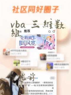 vba 三维数组