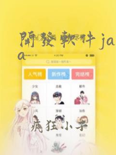 开发软件java