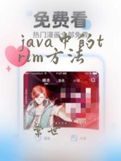 java中的trim方法