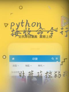 python 接收命令行输入