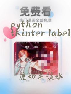 python tkinter label