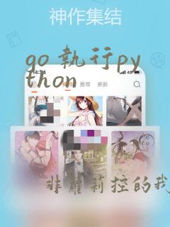 go 执行python