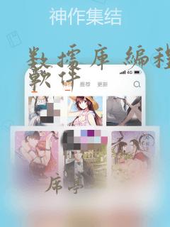 数据库 编程 软件
