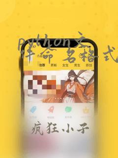 python文件命名格式