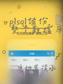plsql备份整个数据库