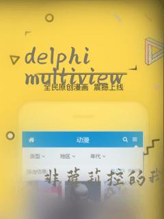 delphi multiview