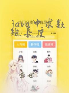 java中求数组长度