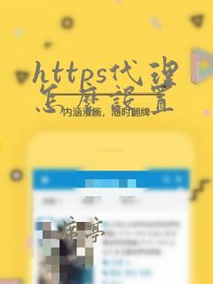 https代理怎么设置