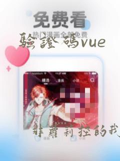 验证码vue
