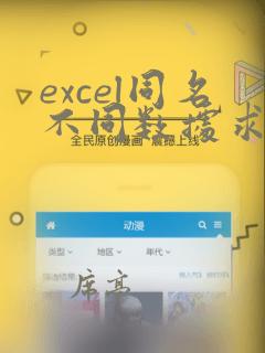 excel同名不同数据求和