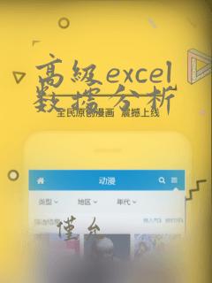 高级excel数据分析