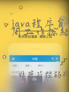 java程序员周工作总结