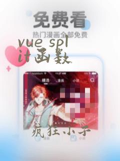 vue split函数