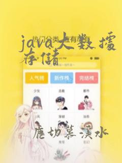 java大数据存储