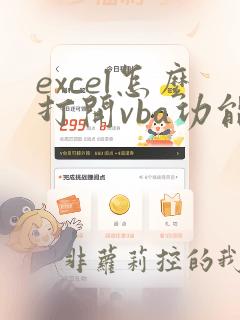 excel怎么打开vba功能