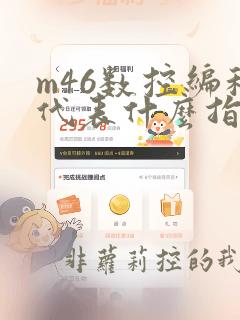 m46数控编程代表什么指令